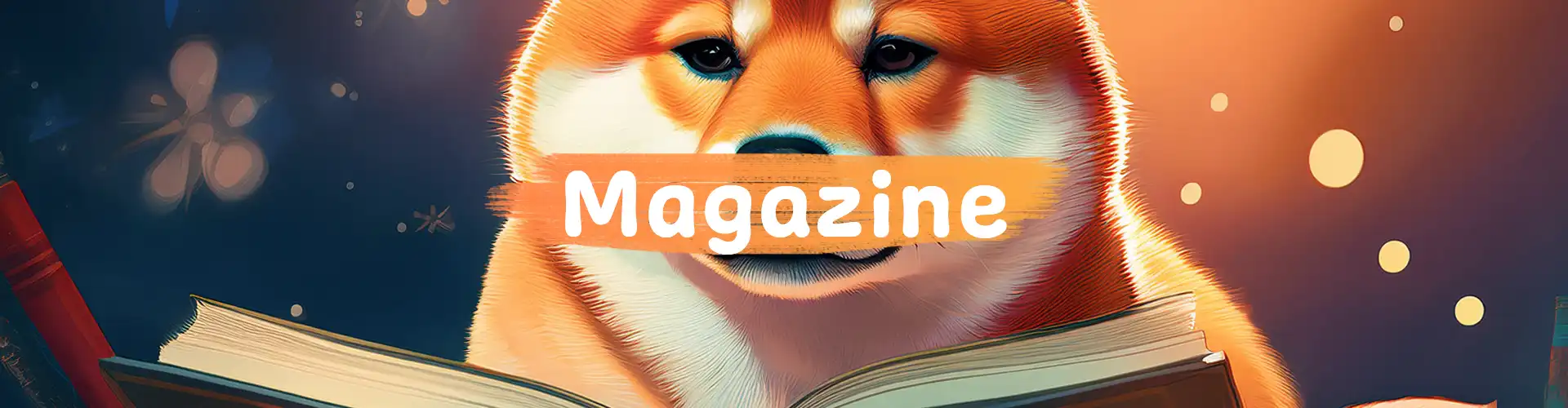 動画マガジンのイメージ